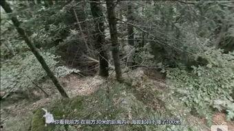 山谷真人秀在线观看,揭秘隐秘山谷中的真实生活 第1张 山谷真人秀在线观看,揭秘隐秘山谷中的真实生活 第1张