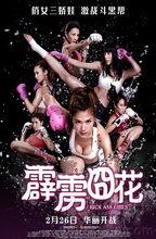 霹雳 花在线观看,热血青春，激情燃烧的岁月  第2张