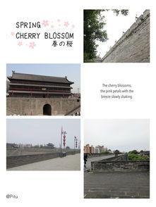 西安小王最新爆料,揭秘背后惊人真相! 第2张 西安小王最新爆料,揭秘背后惊人真相! 第2张